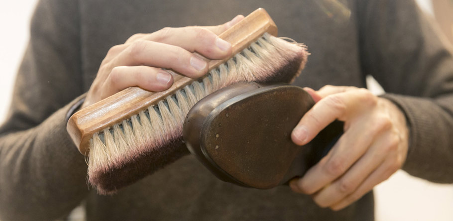 Shine Brush